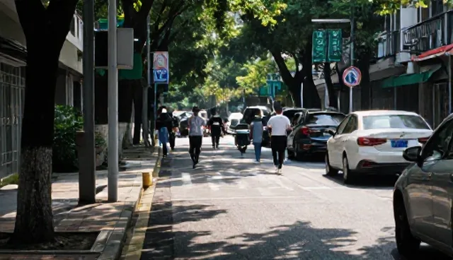 名录展示业务的检查要点与选型关注点